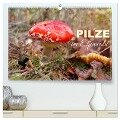 Pilze im Elfenwald (hochwertiger Premium Wandkalender 2025 DIN A2 quer), Kunstdruck in Hochglanz - Sabine Löwer