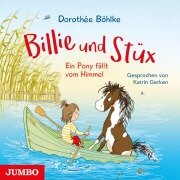 Cover-Bild zum Titel 'Billie und Stüx. Ein Pony fällt vom Himmel [Band 1]' von 'Dorothée Böhlke'