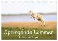 Springende Lämmer: Lebensfreude pur (Wandkalender 2024 DIN A3 quer), CALVENDO Monatskalender - Elmar Weiss