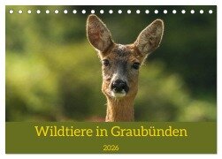 Wildtiere in Graubünden (Tischkalender 2026 DIN A5 quer), CALVENDO Monatskalender - Jürg Plattner