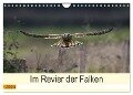 Im Revier der Falken (Wandkalender 2024 DIN A4 quer), CALVENDO Monatskalender - Jens Siebert