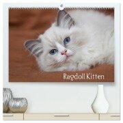 Ragdoll Kitten (hochwertiger Premium Wandkalender 2025 DIN A2 quer), Kunstdruck in Hochglanz - Fotodesign Verena Scholze
