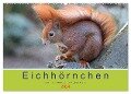 Eichhörnchen - Kleine Kobolde im Roten Pelz (Wandkalender 2024 DIN A2 quer), CALVENDO Monatskalender - Margret Brackhan