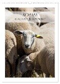 Schafe - 12 Monate in der Herde (Wandkalender 2024 DIN A3 hoch), CALVENDO Monatskalender - Stefanie Und Philipp Kellmann
