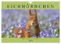 Eichhörnchen im Königlichen Garten (Wandkalender 2024 DIN A4 quer), CALVENDO Monatskalender - Margret Brackhan