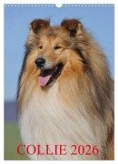 Cover-Bild zum Titel 'Collie 2026 (Wandkalender 2026 DIN A3 hoch), CALVENDO Monatskalender' von 'Sigrid Starick'