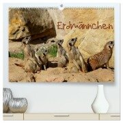Erdmännchen (hochwertiger Premium Wandkalender 2025 DIN A2 quer), Kunstdruck in Hochglanz - Heike Hultsch