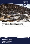 Cover-Bild zum Titel 'Chudesa Shiladzhita' von 'Alim-Un Nisa, Kainat Abbas, Asma Saeed'
