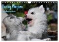 Husky Welpen (Wandkalender 2024 DIN A4 quer), CALVENDO Monatskalender - Michael Ebardt
