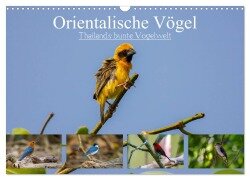 Orientalische Vögel - Thailands bunte Vogelwelt (Wandkalender 2025 DIN A3 quer), CALVENDO Monatskalender - Arne Wünsche