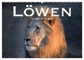 Löwen. Die Könige Afrikas (Wandkalender 2024 DIN A2 quer), CALVENDO Monatskalender - Robert Styppaa