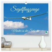 Meister in der Schwebe: Segelflugzeuge (hochwertiger Premium Wandkalender 2026 DIN A2 quer), Kunstdruck in Hochglanz - Calvendo Calvendo