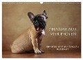 Charme auf vier Pfoten - Französische Bulldoggen Portraits (Wandkalender 2024 DIN A3 quer), CALVENDO Monatskalender - Jana Behr