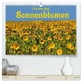 Ein Jahr lang Sonnenblumen (hochwertiger Premium Wandkalender 2025 DIN A2 quer), Kunstdruck in Hochglanz - Anke van Wyk - www. germanpix. net