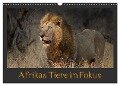 Afrikas Tiere im Fokus (Wandkalender 2024 DIN A3 quer), CALVENDO Monatskalender - Johann Schörkhuber