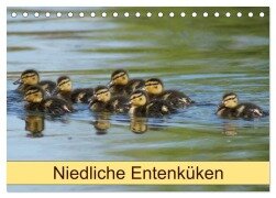 Niedliche Entenküken (Tischkalender 2026 DIN A5 quer), CALVENDO Monatskalender - Kattobello Kattobello