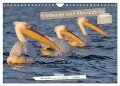 Sehnsuchtsziel Donaudelta (Wandkalender 2024 DIN A4 quer), CALVENDO Monatskalender - Ralf Weise