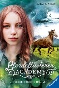 Cover-Bild zum Titel 'Pferdeflüsterer-Academy, Band 5 - Zerbrechliche Träume' von 'Gina Mayer'