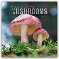 Cover-Bild zum Titel 'Mushrooms - Pilze 2025 - Wand-Kalender' von 'Carousel Calendar'