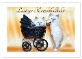 Lustiger Katzenkalender (Wandkalender 2024 DIN A2 quer), CALVENDO Monatskalender - Jennifer Chrystal