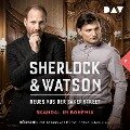 Sherlock & Watson ¿ Neues aus der Baker Street: Skandal im Bohemia (Fall 7) - Viviane Koppelmann