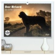 Der Briard 2026 - Ein echter Charmeur (hochwertiger Premium Wandkalender 2026 DIN A2 quer), Kunstdruck in Hochglanz - Sonja Teßen