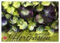 Himmlische Hortensien (Wandkalender 2024 DIN A3 quer), CALVENDO Monatskalender - Martina Cross