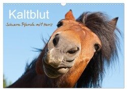 Cover-Bild zum Titel 'Kaltblut - schwere Pferde mit Herz (Wandkalender 2026 DIN A3 quer), CALVENDO Monatskalender' von 'Meike Bölts'