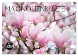 Magnolienblüte (Wandkalender 2025 DIN A3 quer), CALVENDO Monatskalender - Gisela Kruse