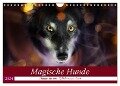 Magische Hunde - Hunde die uns täglich verzaubern (Wandkalender 2024 DIN A4 quer), CALVENDO Monatskalender - Andrea Mayer Tierfotografie