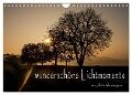 wunderschöne Lichtmomente (Wandkalender 2024 DIN A4 quer), CALVENDO Monatskalender - Julia Vornberger