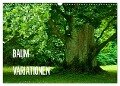 Baum-Variationen (Wandkalender 2024 DIN A3 quer), CALVENDO Monatskalender - Joachim Barig