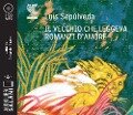 Cover-Bild zum Titel 'Il vecchio che leggeva romanzi d'amore letto da Edoardo Siravo' von 'Luis Sepúlveda'