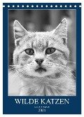Wilde Katzen - Korsikas Samtpfoten (Tischkalender 2024 DIN A5 hoch), CALVENDO Monatskalender - Claudia Schimmack