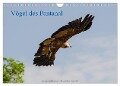 Vögel des Pantanal (Wandkalender 2024 DIN A4 quer), CALVENDO Monatskalender - Jürgen Wöhlke