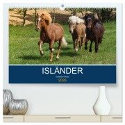 Cover-Bild zum Titel 'Isländer - icelandic horses (hochwertiger Premium Wandkalender 2026 DIN A2 quer), Kunstdruck in Hochglanz' von 'Alexandra Hollstein'