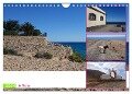 Fuerteventura in Ruhe (Wandkalender 2024 DIN A4 quer), CALVENDO Monatskalender - Heike D. Grieswald