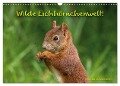 Wilde Eichhörnchenwelt! (Wandkalender 2024 DIN A3 quer), CALVENDO Monatskalender - Birte Alber und Carsten Cording