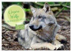 Unsere Wölfe - Ein Wildtier kehrt zurück (Wandkalender 2025 DIN A2 quer), CALVENDO Monatskalender - Angela Rohde