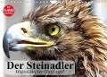 Der Steinadler. Majestätischer Greifvogel (Wandkalender 2023 DIN A4 quer) - Elisabeth Stanzer