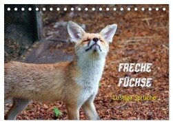 Freche Füchse - lustige Sprüche (Tischkalender 2025 DIN A5 quer), CALVENDO Monatskalender - Peter Kersten