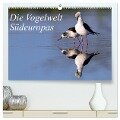 Die Vogelwelt Südeuropas (hochwertiger Premium Wandkalender 2024 DIN A2 quer), Kunstdruck in Hochglanz - Benny Trapp