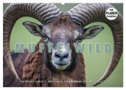 Emotionale Momente: Muffelwild. (Wandkalender 2026 DIN A2 quer), CALVENDO Monatskalender - Ingo Gerlach