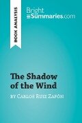 The Shadow of the Wind by Carlos Ruiz Zafón (Book Analysis) - Bright Summaries