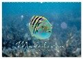 Unterwasserwelt der Malediven II (Wandkalender 2024 DIN A2 quer), CALVENDO Monatskalender - Clave Rodriguez Photography