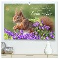 Besondere Augenblicke mit Eichhörnchen (hochwertiger Premium Wandkalender 2024 DIN A2 quer), Kunstdruck in Hochglanz - Tine Meier