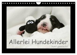 Allerlei Hundekinder (Wandkalender 2025 DIN A4 quer), CALVENDO Monatskalender - Kathrin Köntopp