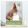 Eichhörnchen - Planer (hochwertiger Premium Wandkalender 2024 DIN A2 hoch), Kunstdruck in Hochglanz - Birgit Cerny