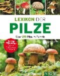 Lexikon der Pilze - Über 210 Pilze im Porträt - Hans W. Kothe