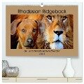 Rhodesian Ridgeback der Hund mit dem Tropfen Löwenblut (hochwertiger Premium Wandkalender 2024 DIN A2 quer), Kunstdruck in Hochglanz - Dagmar Behrens